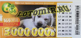 Проверить билет Лотерея 6 из 36 169 тираж (Нажмите, чтобы увеличить) Проверить билет Лотерея 6 из 36 169 тираж