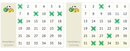 Купить билет Футбольная лотерея 6 из 36